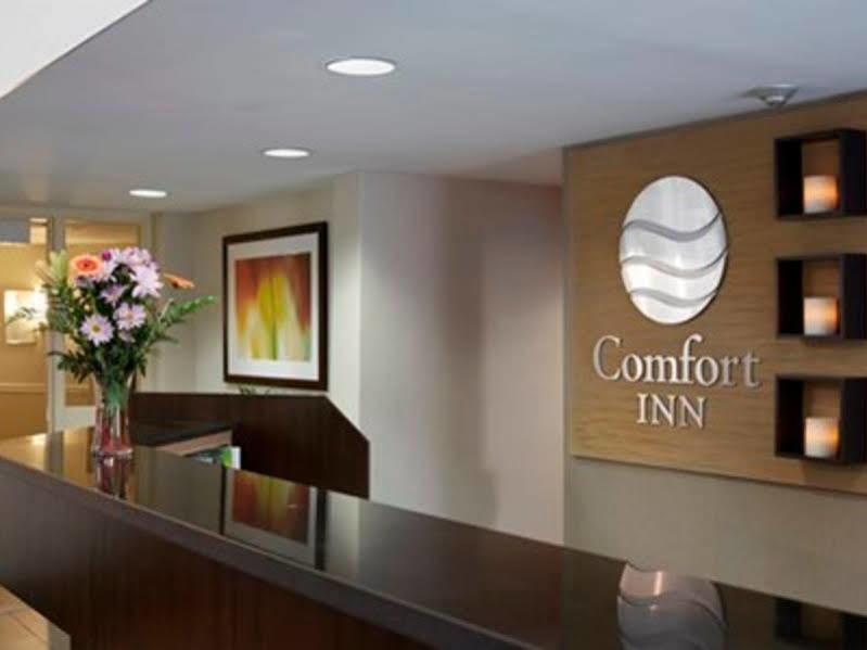 Comfort Inn Свіфт-Керрент Екстер'єр фото